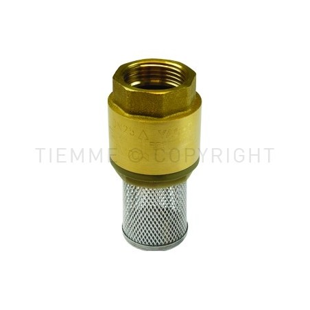 VALVOLA RITEGNO YACHT F FILTRO INOX 2" ISO228 - 3600 TIEMME 3500040 1
