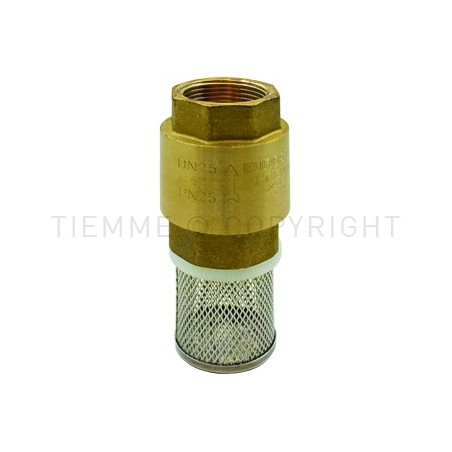VALVOLA RITEGNO EUROSTOP F - F FILTRO INOX 2"1/2 ISO228 - 3606 TIEMME 3500354 1
