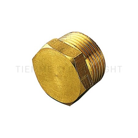 TAPPO M GENER 1"1/4 - 1878 TIEMME 1500222 1