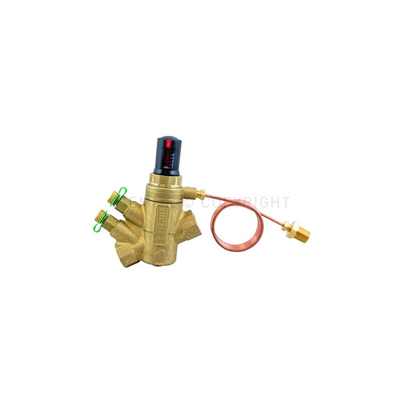 VALV BILANCI CON CONTROLLO PRESSIONE DIFFERENZIALE DN50 2" F - F - 6538 TIEMME 6510631 1