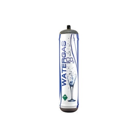 CO2 (E290 uso alimentare) BOMBOLA MONOUSO - 600 g 484400S 1