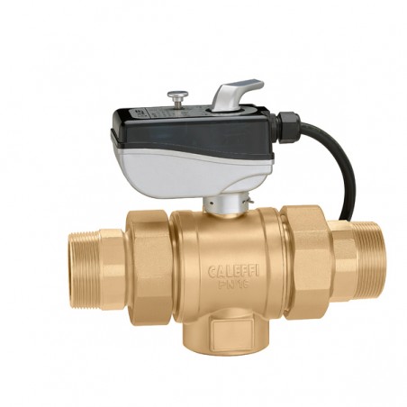 Valvola a Sfera Motorizzata R 2"  maschio a due vie con microinterruttore ausiliario 24 V - Caleffi 638094 638094 1