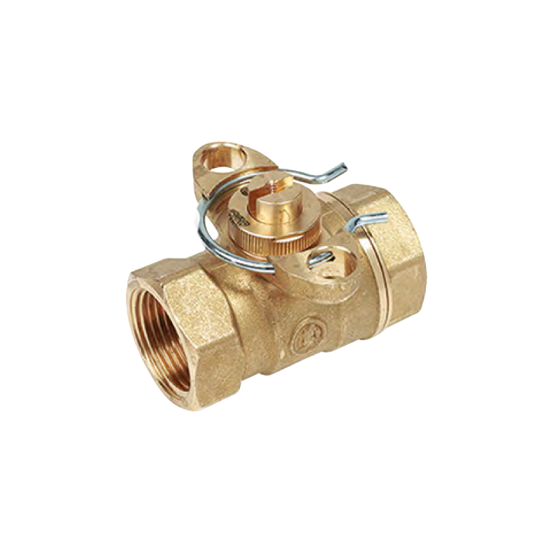 Valvola di zona a sfera, a due vie, motorizzabile MM 3/4' F R277Y004 1