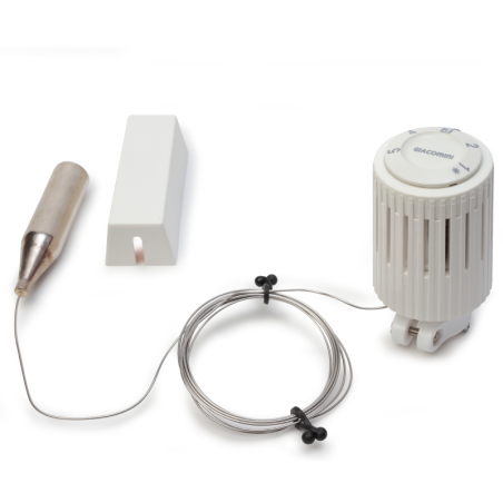 Testa termostatica con sensore a liquido a distanza, lunghezza capillare 5m R462X005 1