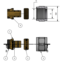 Adattatore tubo multistrato 1/2"- 16x2 mm TDM BRASS - Codice 11251216 11251216 2