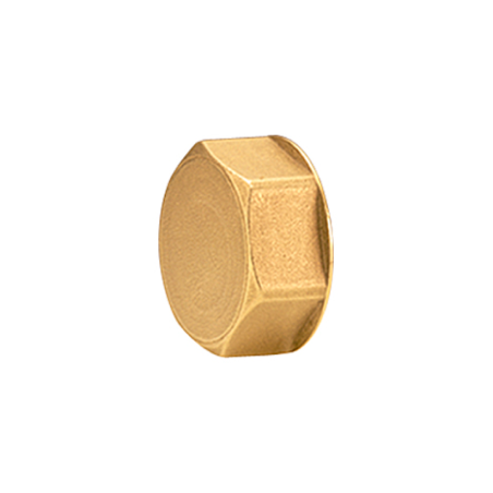Giacomini R594Y002 Tappo terminale collettore 24/19 (B.16) filettato femmina R594Y002 1