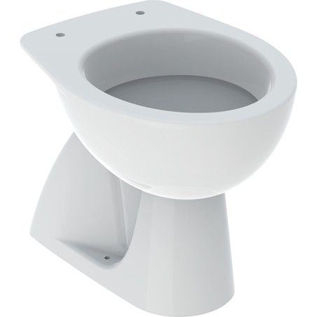 Colibrì vaso a pavimento scarico verticale 6 l - Geberit 500.856.00.1 500.856.00.1 1
